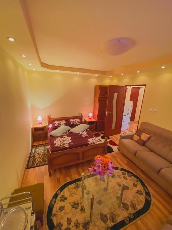 Apartament Cristian Geoagiu Băi 외부 사진