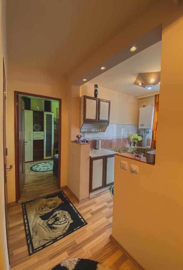 Apartament Cristian Geoagiu Băi 외부 사진
