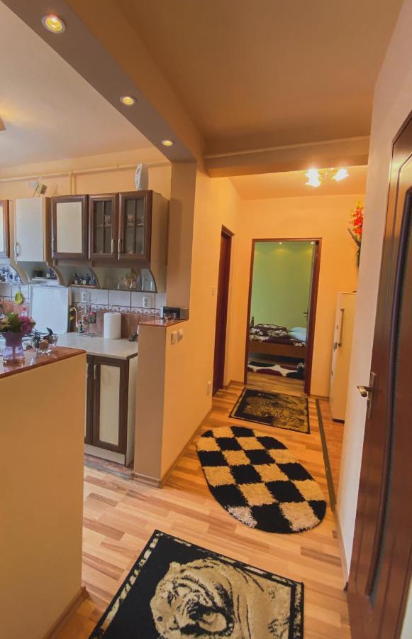 Apartament Cristian Geoagiu Băi 외부 사진
