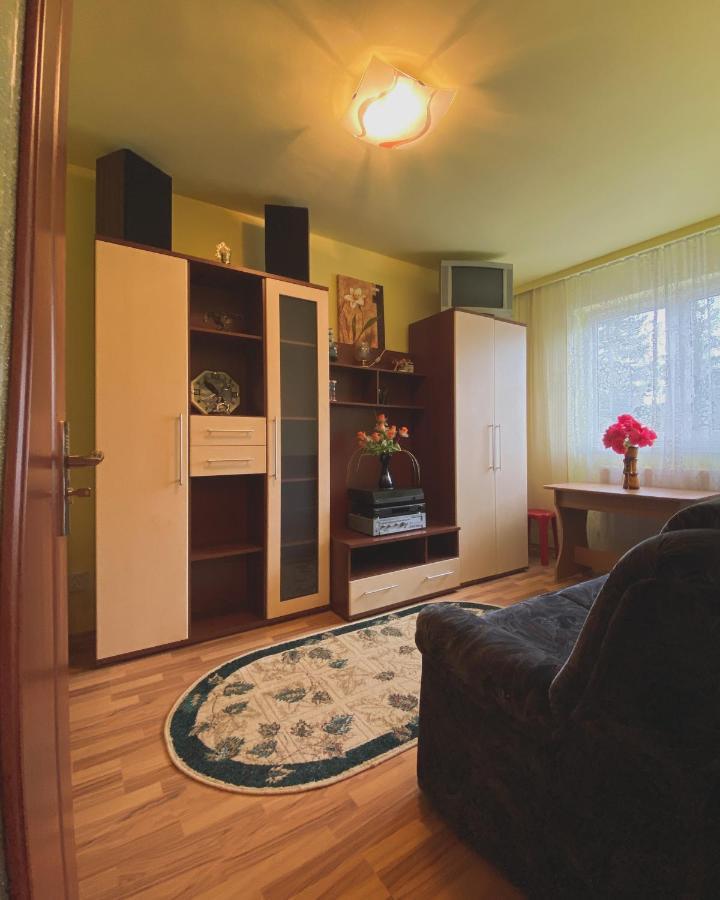 Apartament Cristian Geoagiu Băi 외부 사진