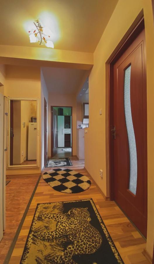 Apartament Cristian Geoagiu Băi 외부 사진
